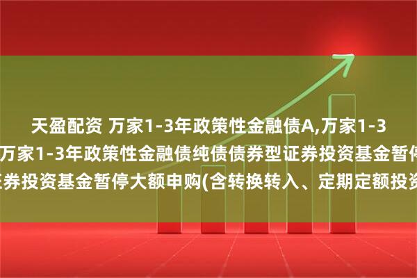 天盈配资 万家1-3年政策性金融债A,万家1-3年政策性金融债C: 关于万家1-3年政策性金融债纯债债券型证券投资基金暂停大额申购(含转换转入、定期定额投资)业务的公告