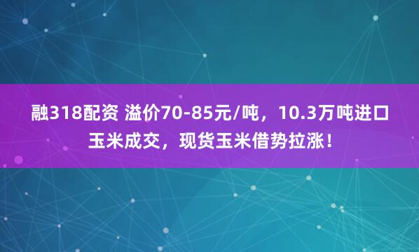 融318配资 溢价70-85元/吨，10.3万吨进口玉米成交，现货玉米借势拉涨！