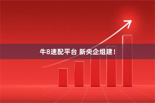 牛8速配平台 新央企组建！