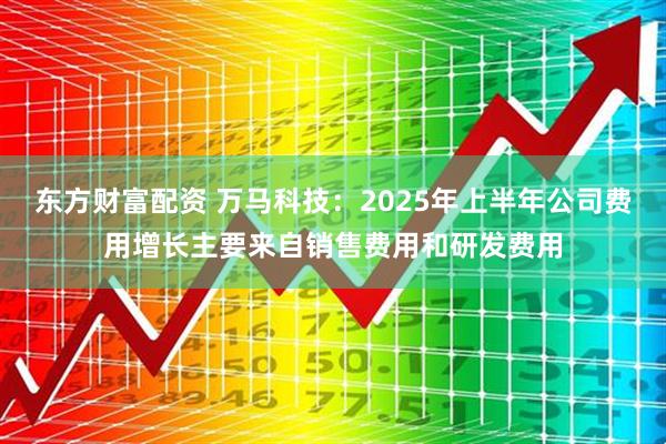 东方财富配资 万马科技：2025年上半年公司费用增长主要来自销售费用和研发费用