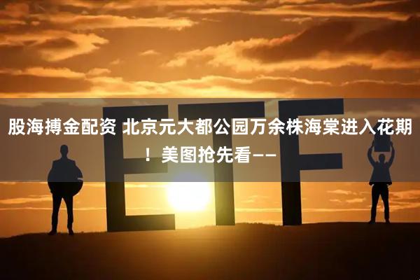股海搏金配资 北京元大都公园万余株海棠进入花期！美图抢先看——